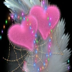 Meet your Posher, Christy